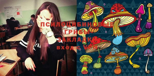 Альфа ПВП Алексин