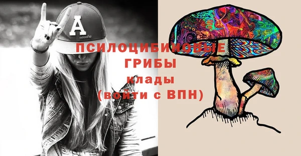 соль курить ск Алзамай