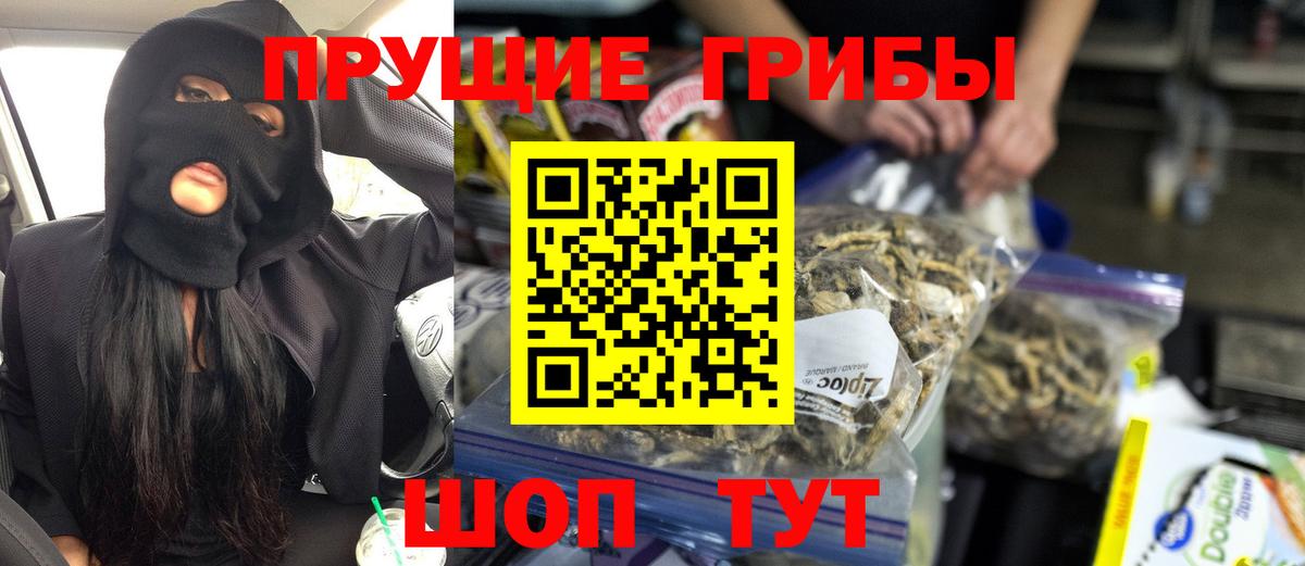 Галлюциногенные грибы GOLDEN TEACHER Ишим